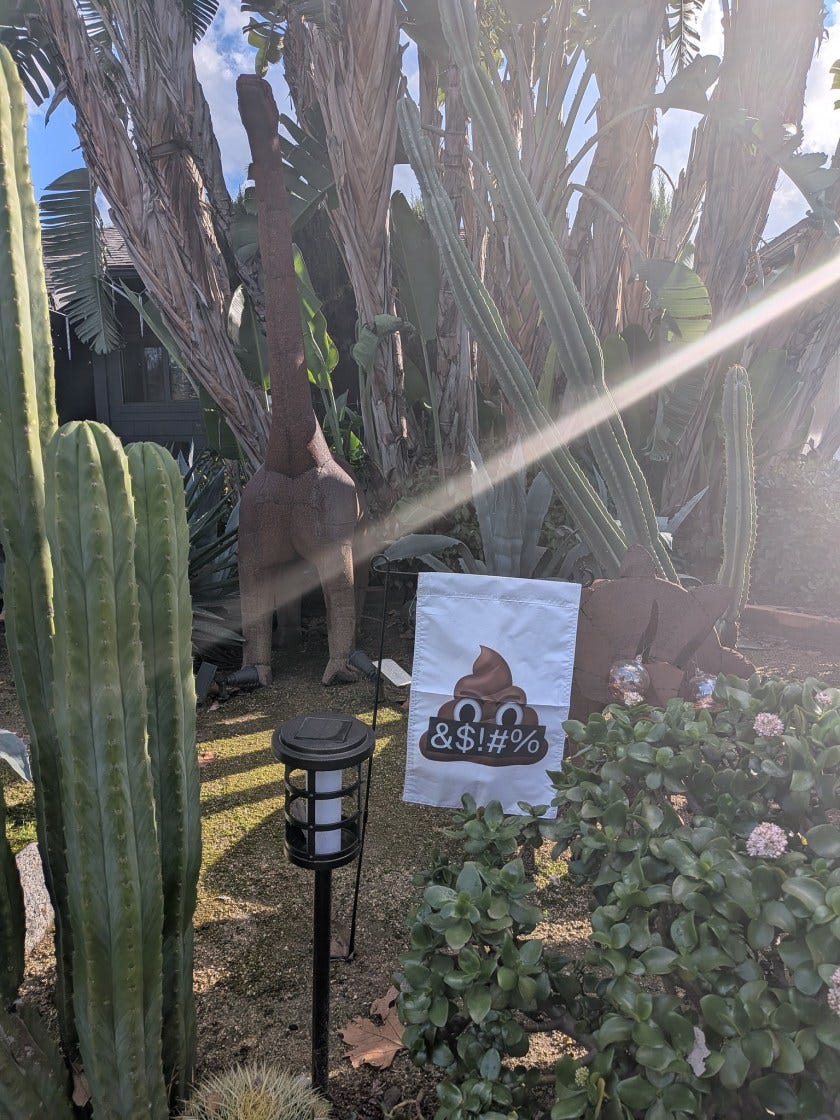 A  small white garden flag on a metal stake, planted among cacti and succulents in a sunny yard. The flag depicts an angry poop emoji holding a sign reading "&$!#%".